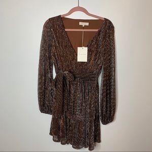 Silver and Gold Dress🥂